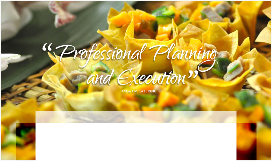 Professional Planning and Execution