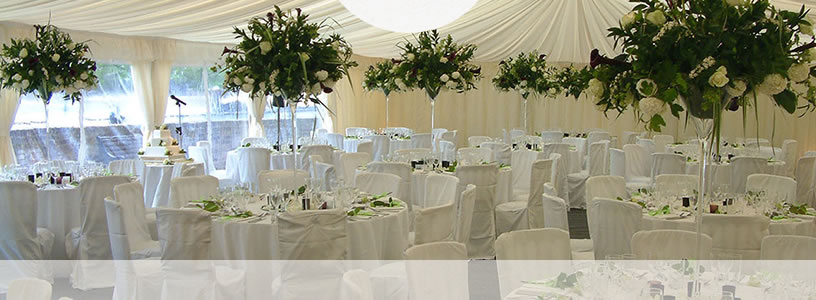 A Wedding Beside the River Thames